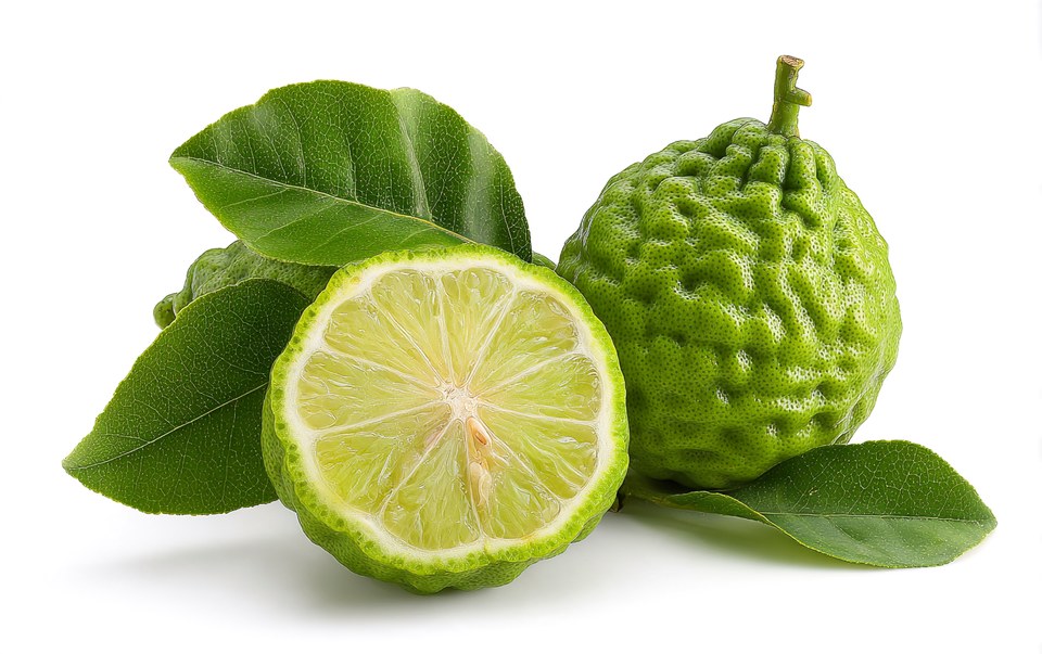 Bergamot