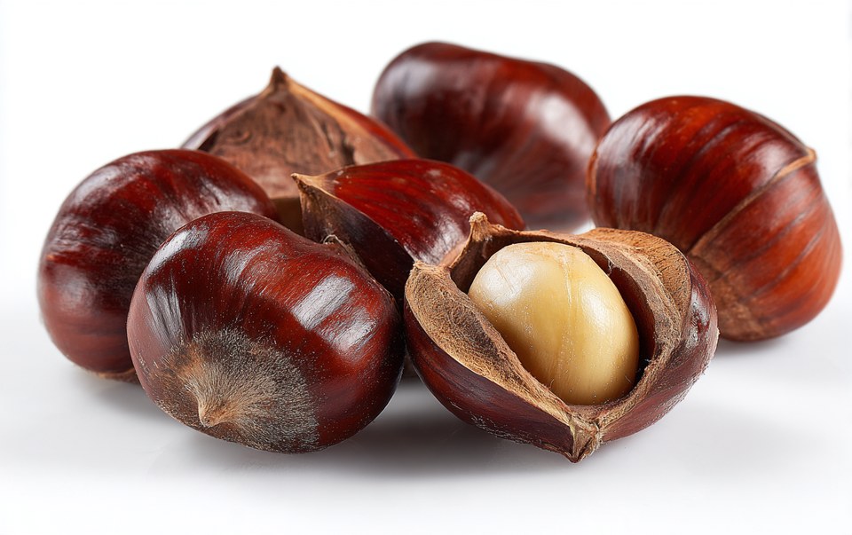 Chestnut