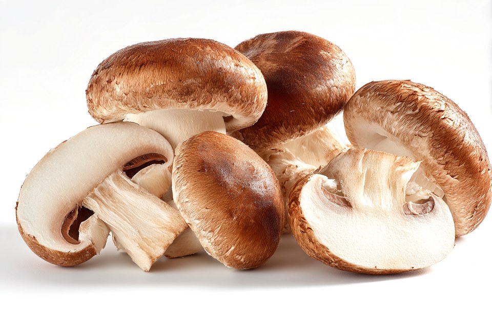 Mushroom