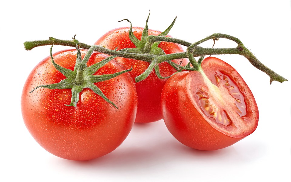 Tomato