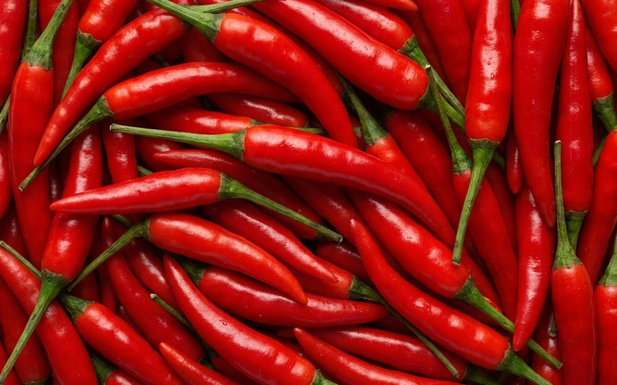 Fresh red chillies filling the frame